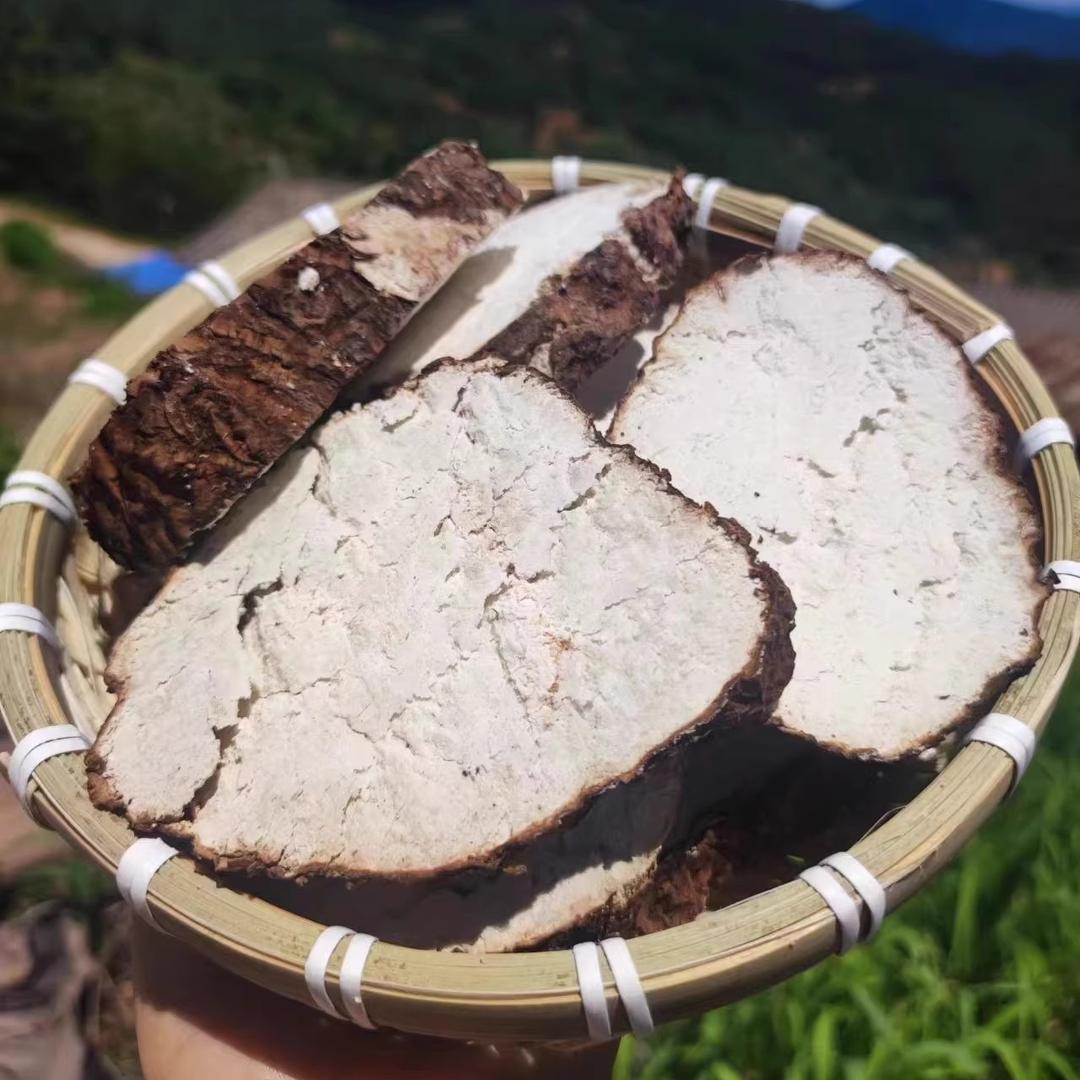 云南楚雄茯苓