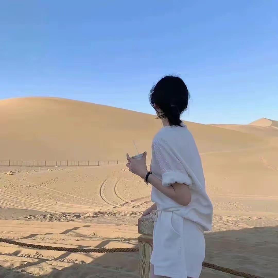 董董直播3号店