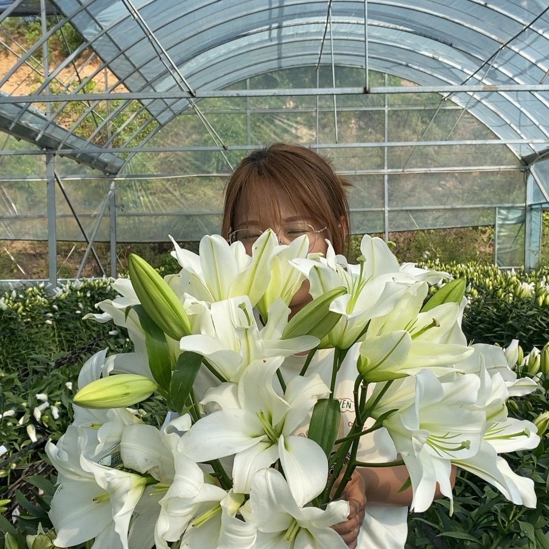 温温鲜花铺子