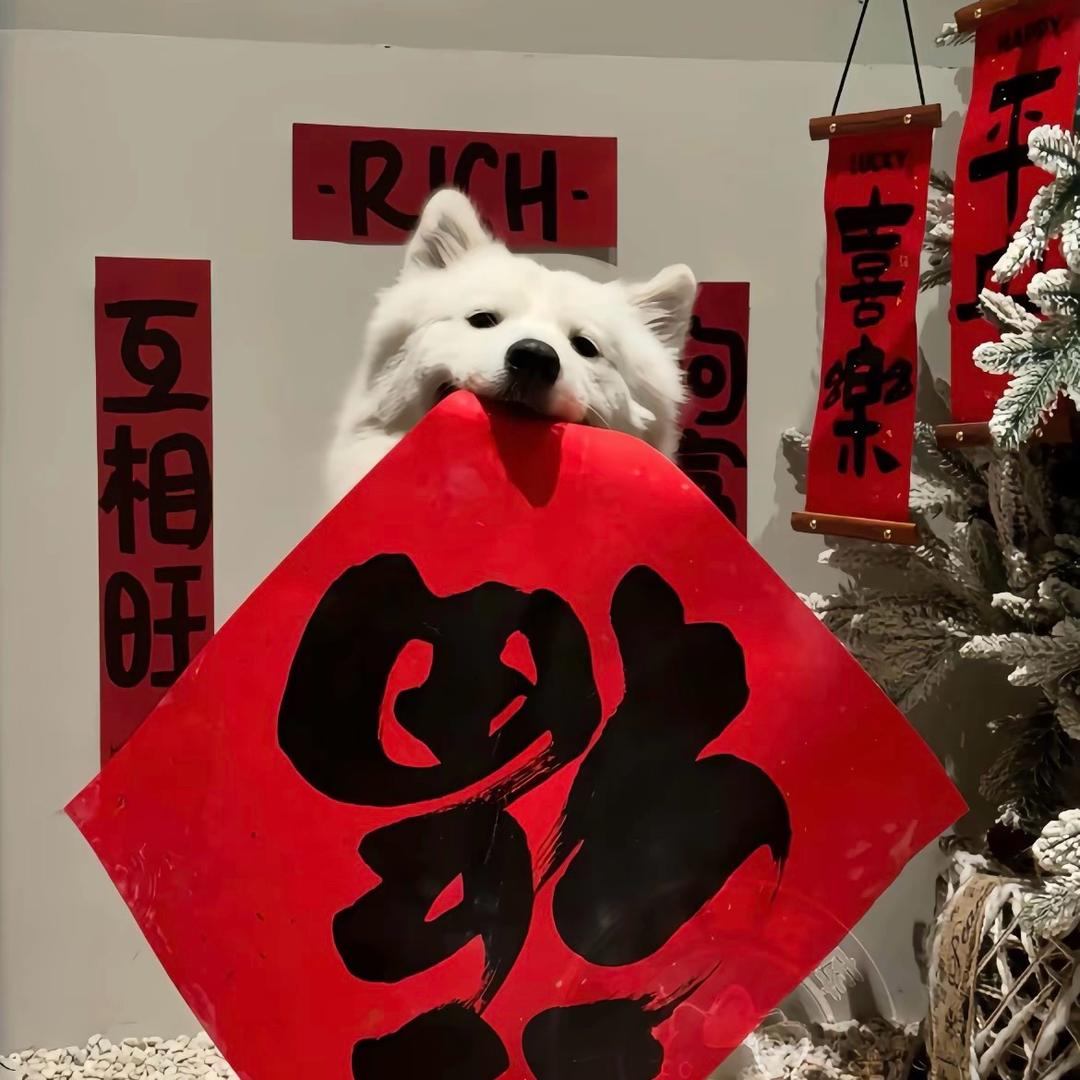 摘一口袋星星