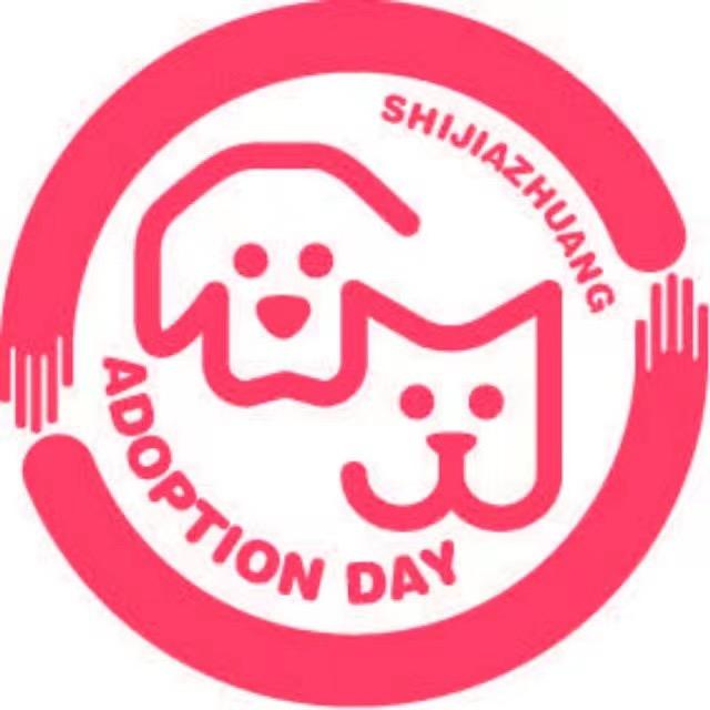 石家庄领养日