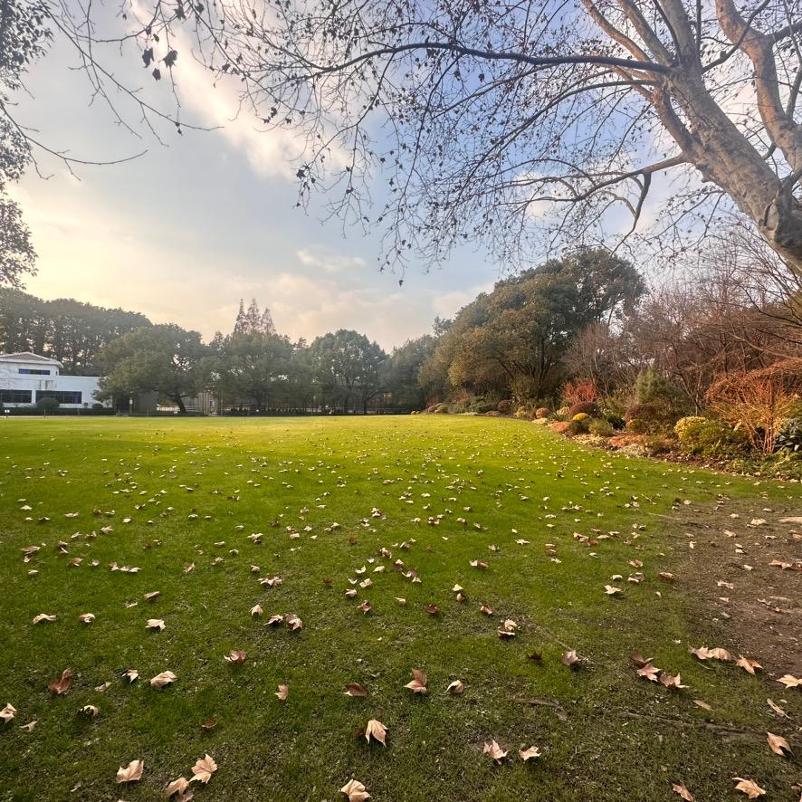 海口龙华区休魄信息咨询工作室