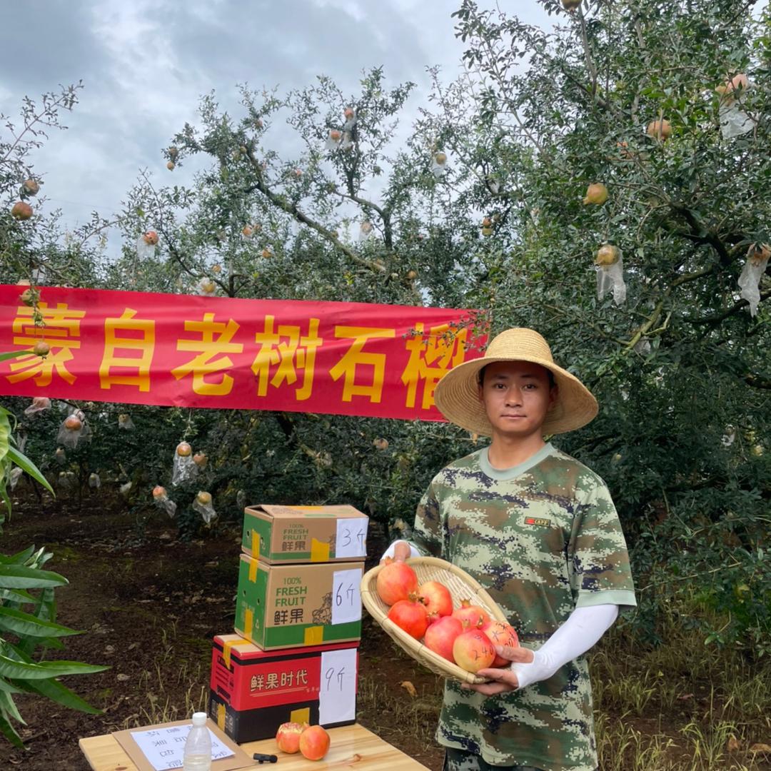 国圣哥哥
