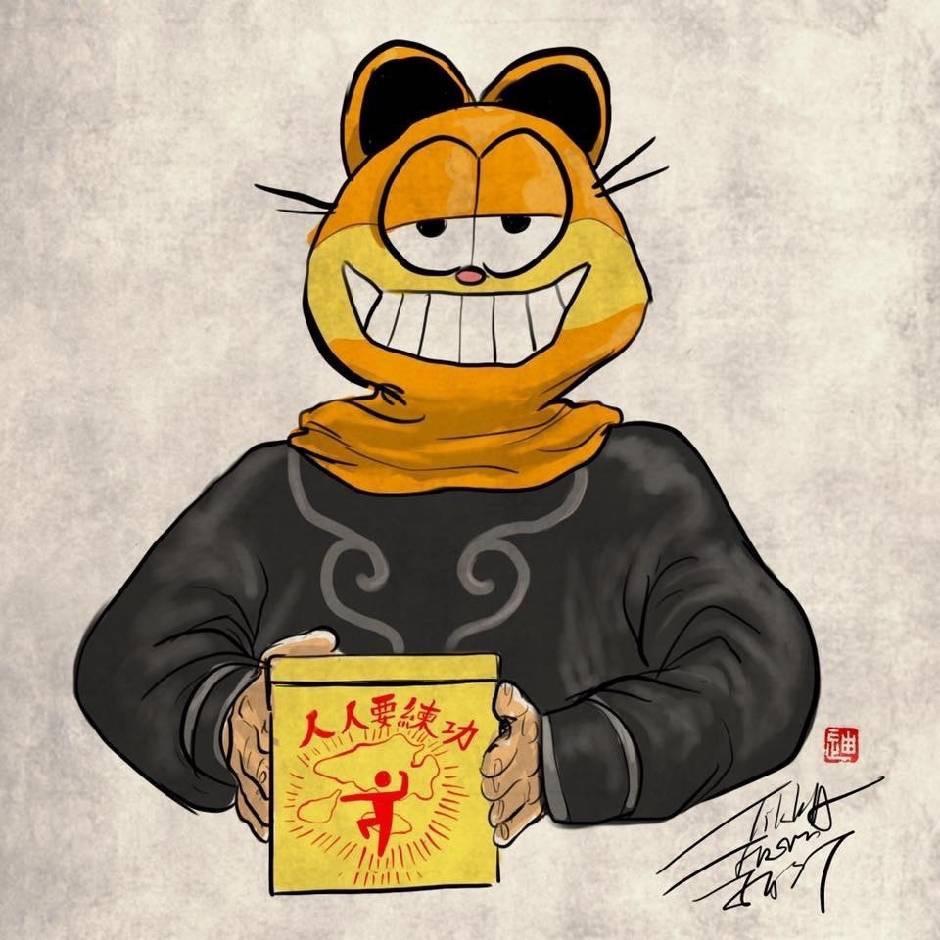 蒙面加菲猫