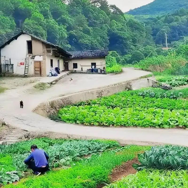 筱游百货商行