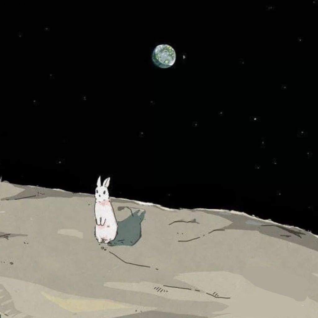 小羊不要再胖啦