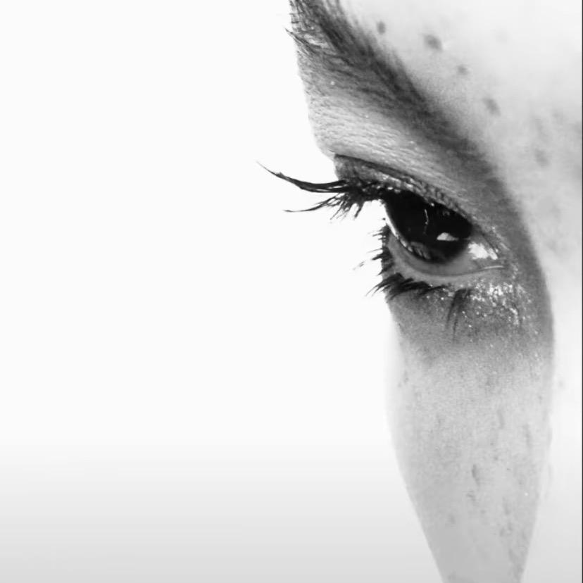 乐乐爱随机变化