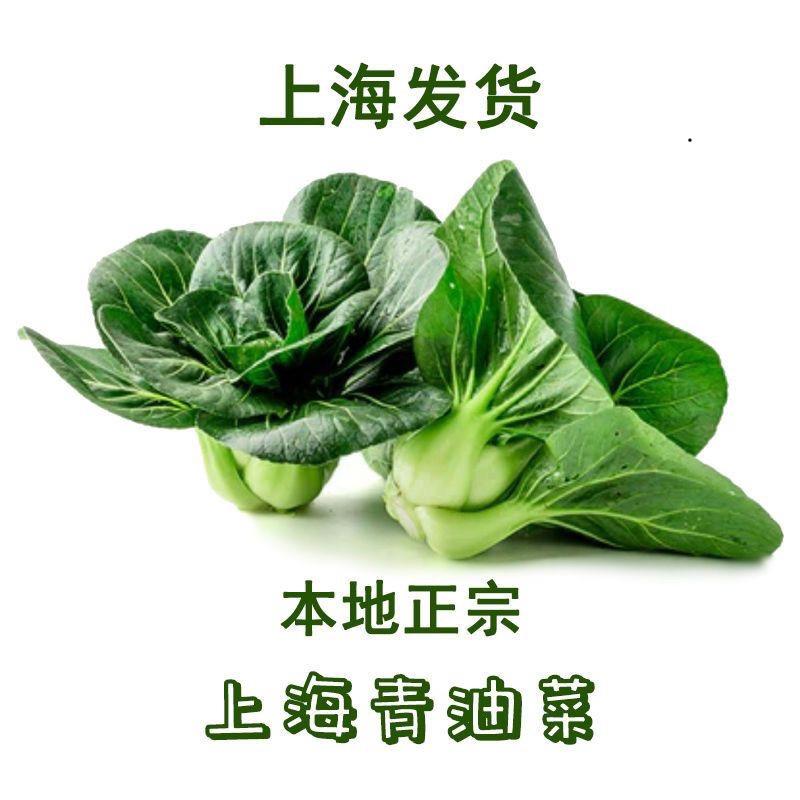 松江小菜农
