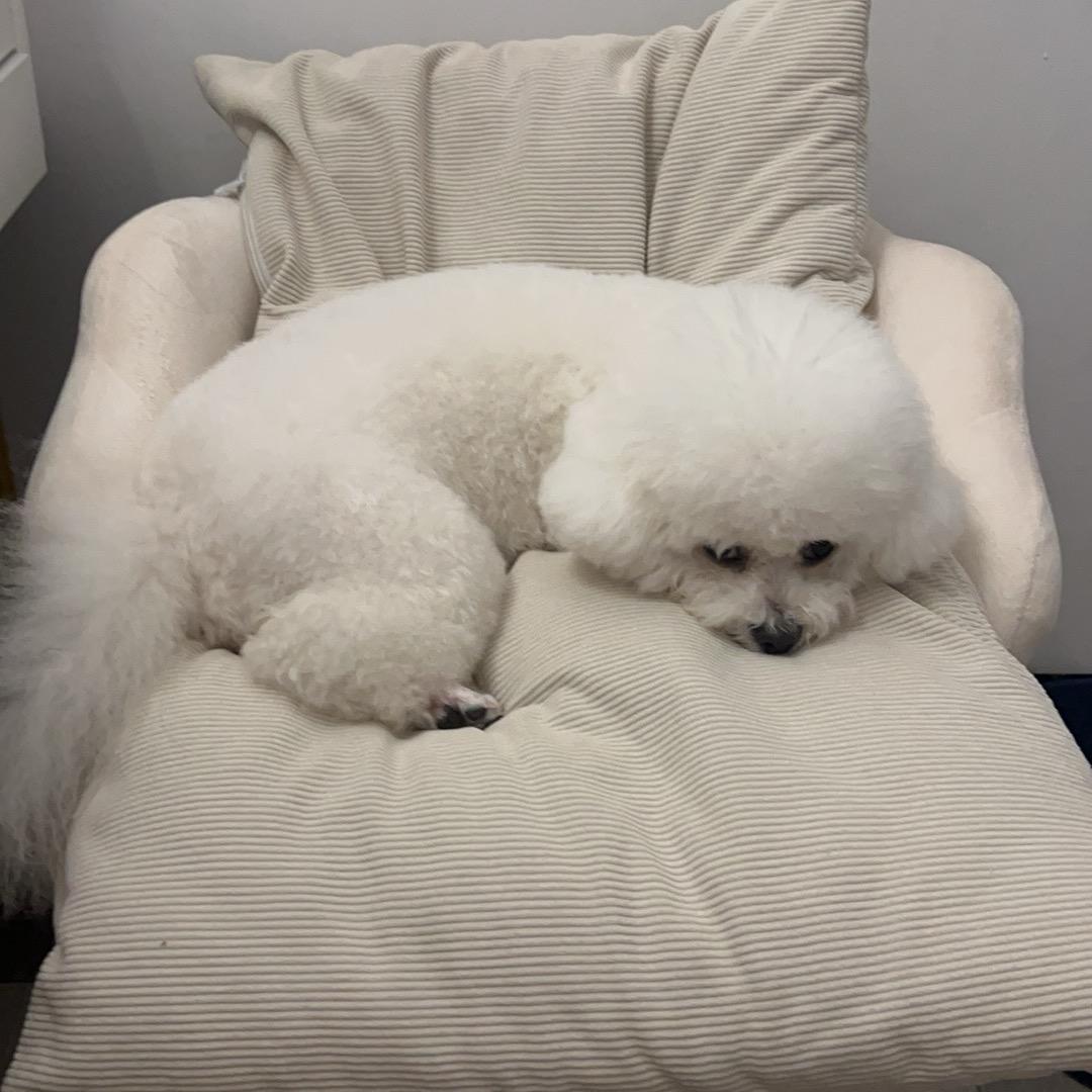 大蓝蓝@