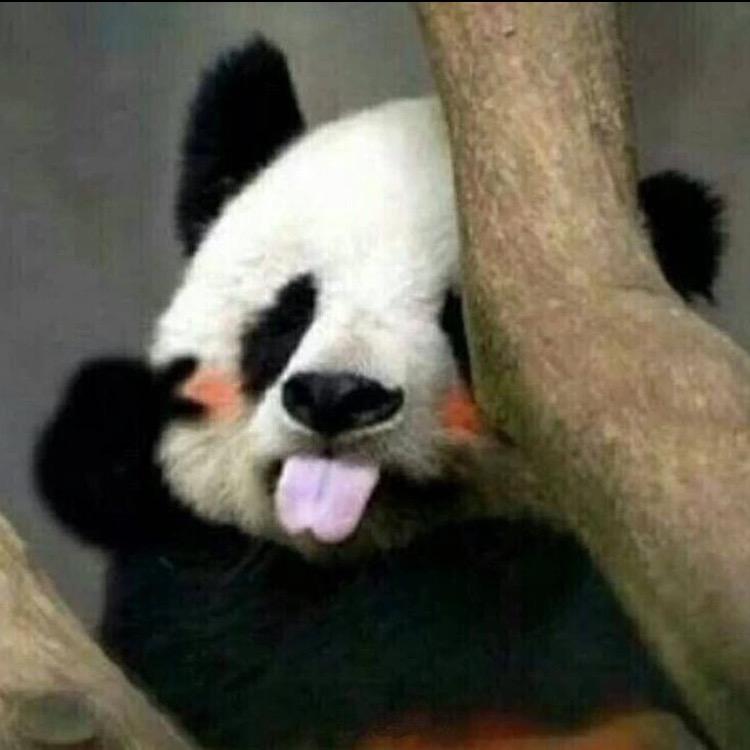 倔犟的马儿