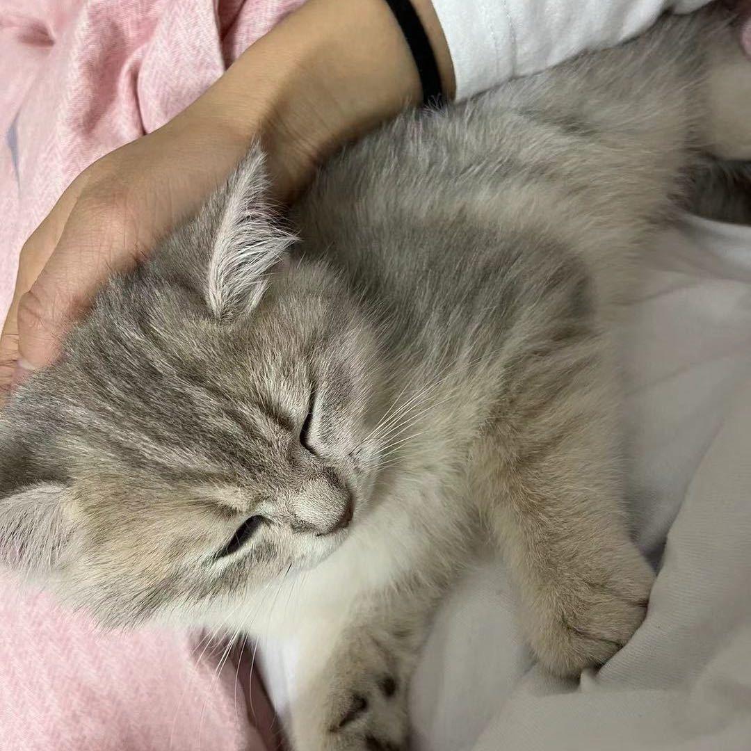 银子❤️平果