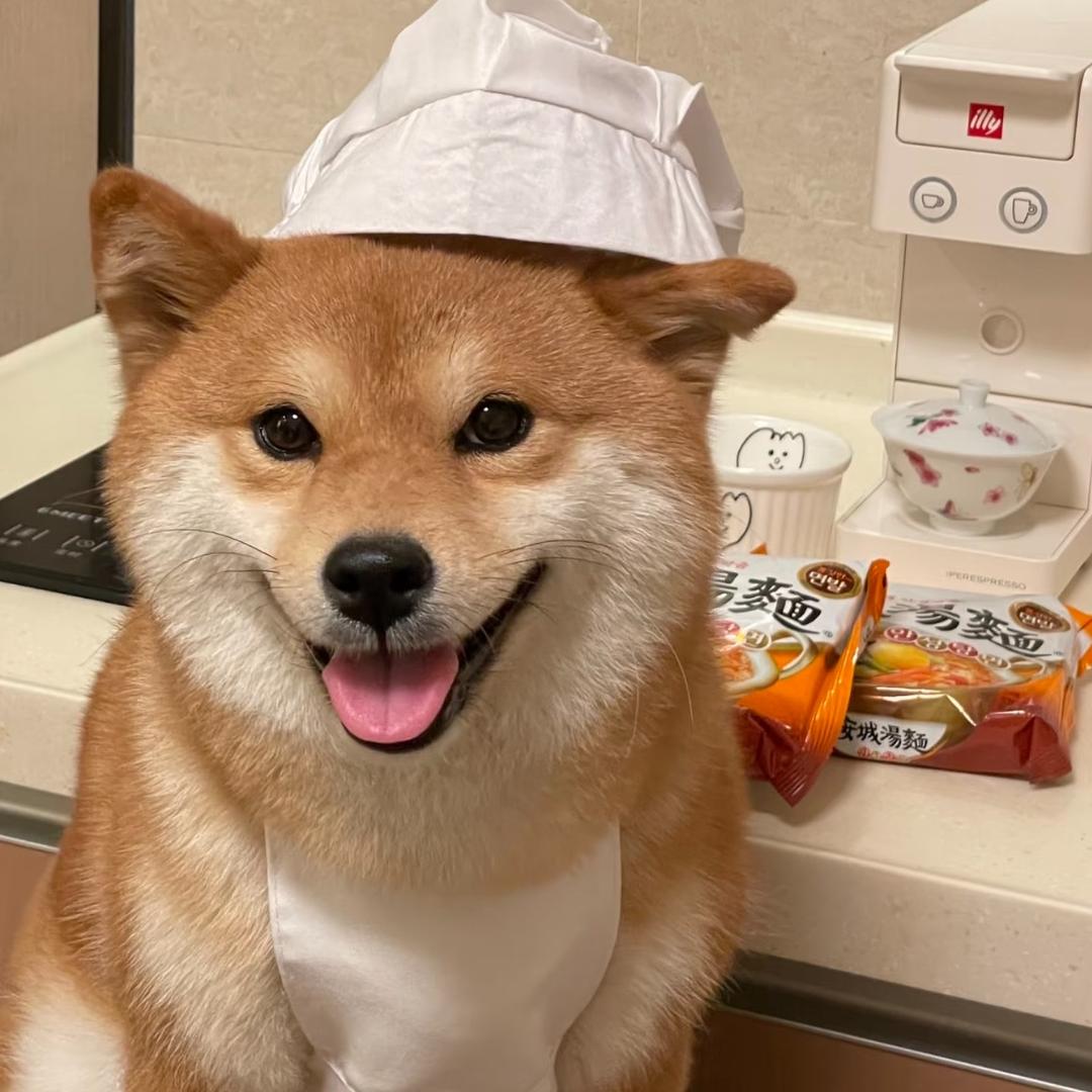 是柴梗犬呀俱乐部CKU-