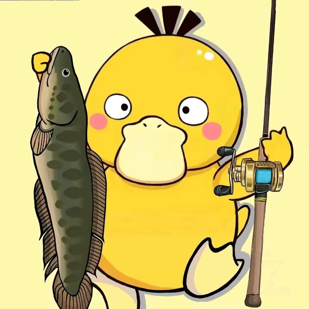 金龟路亚
