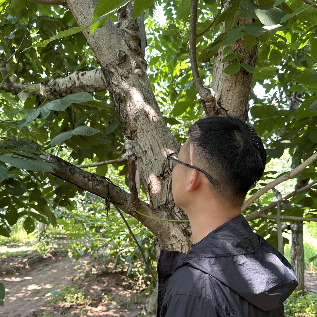 弥渡甄选-小志