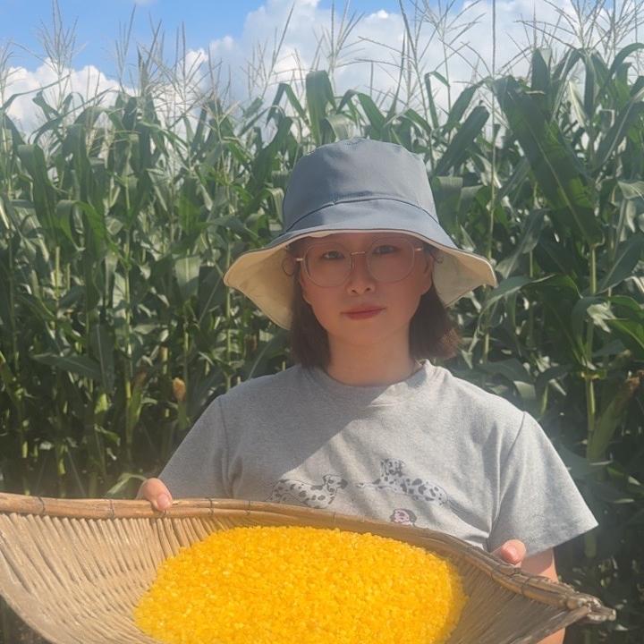 五常糯玉米碴