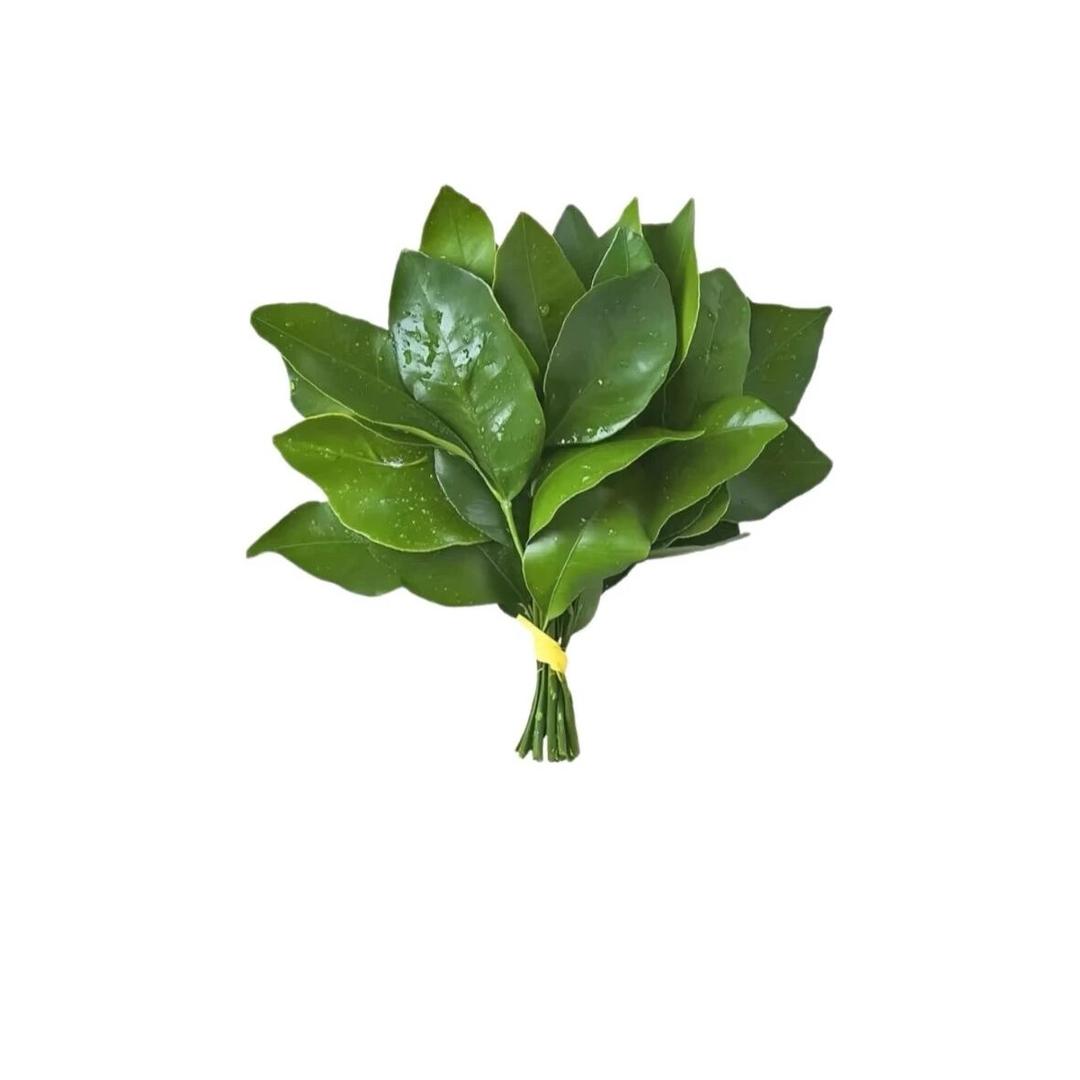 秋日迟