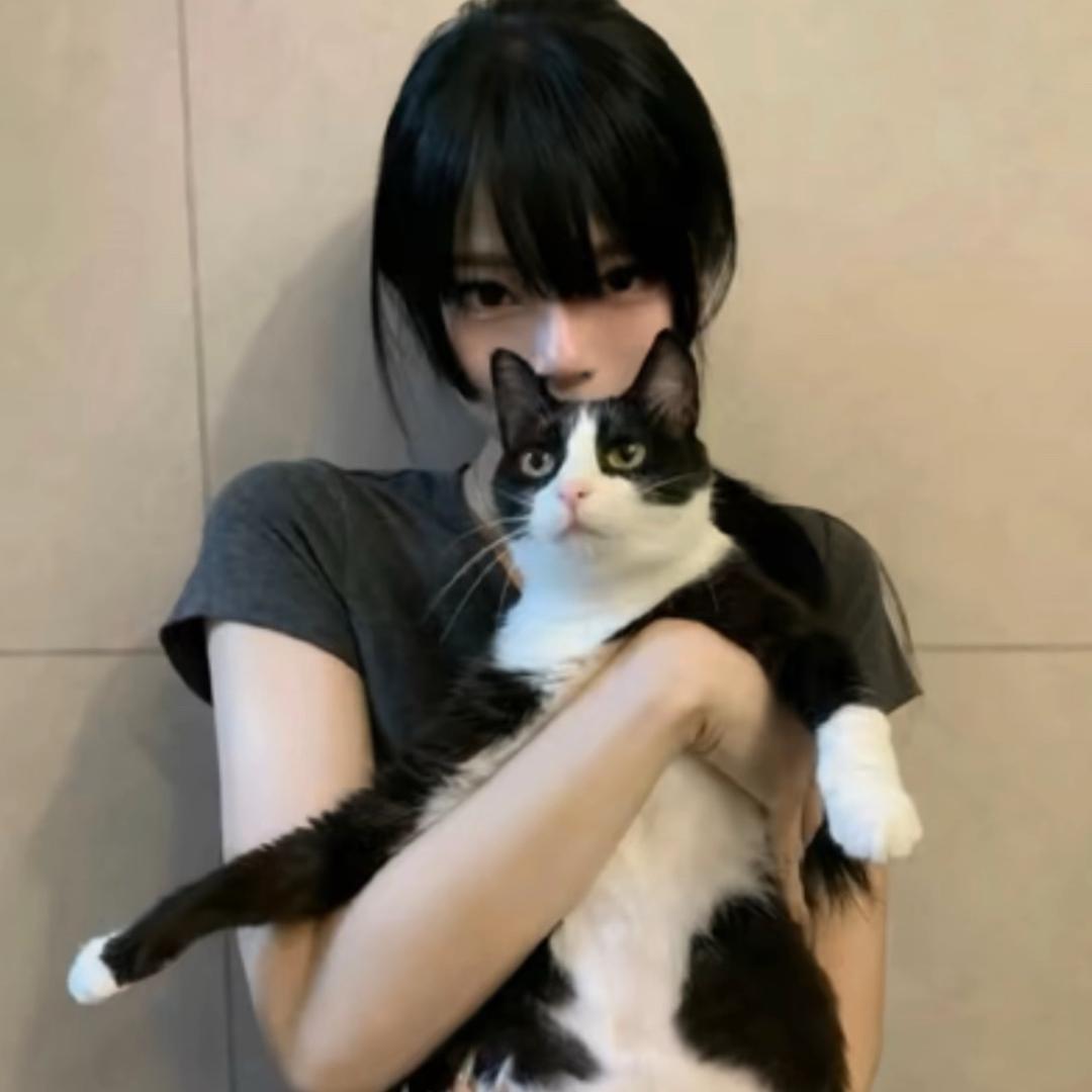 胖虎是只猫💚