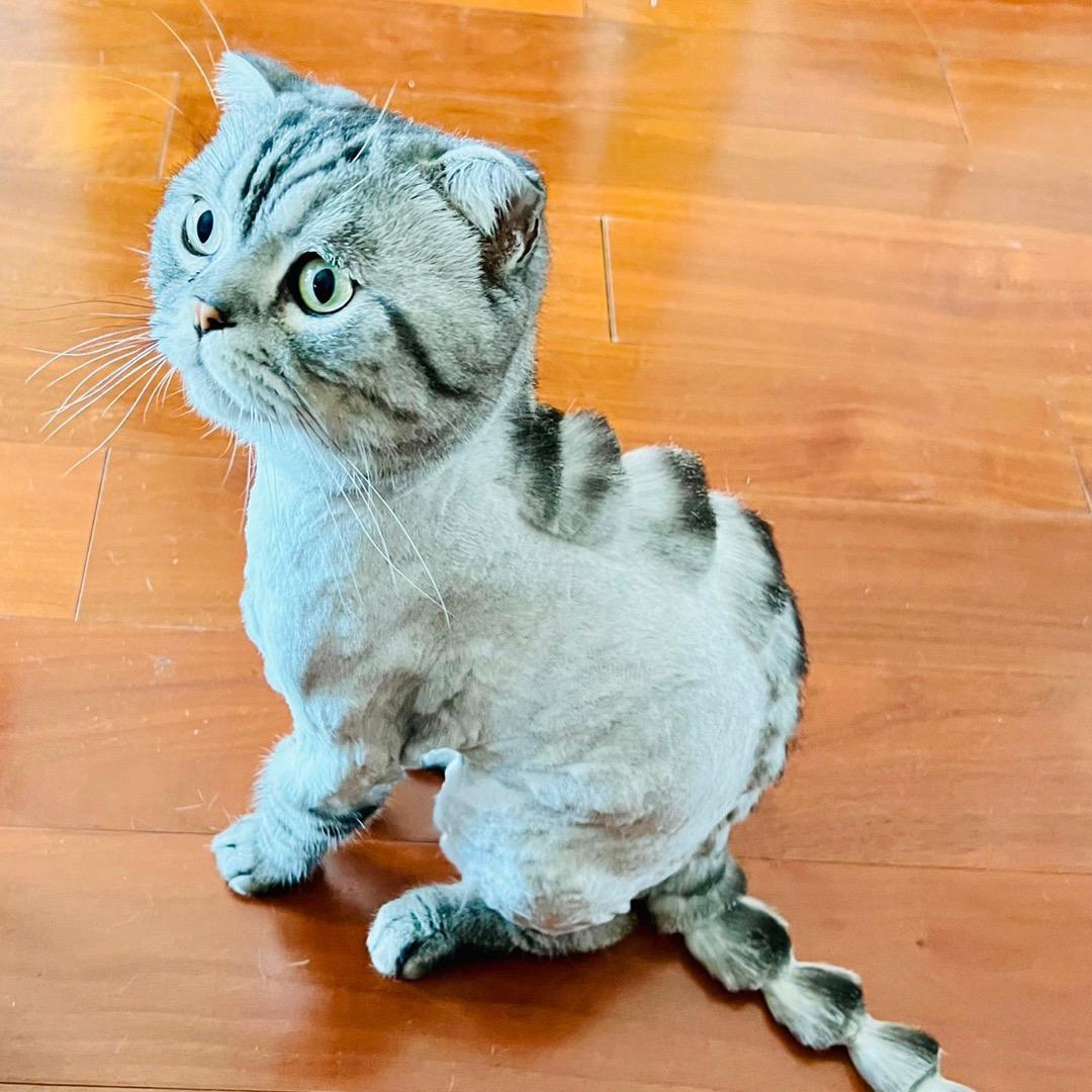 硬拍 也能拍。..