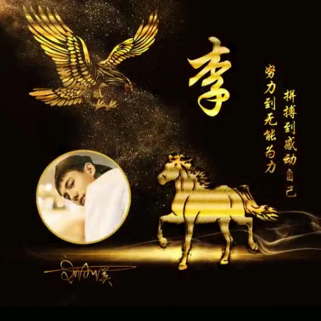 一路随拍