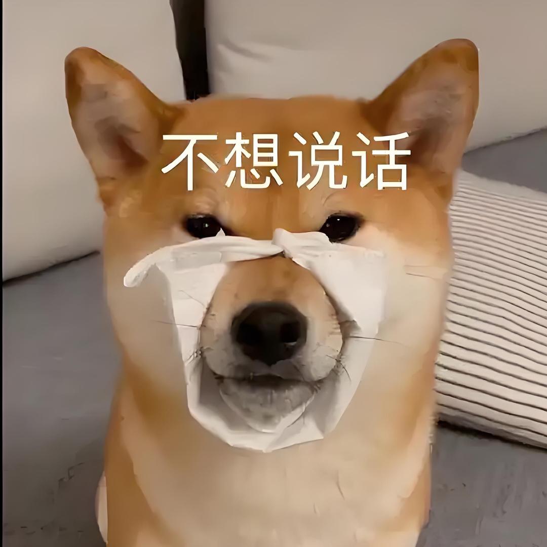 不想说话