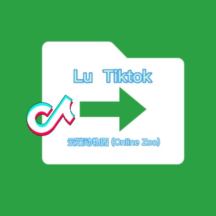 LuTiktok