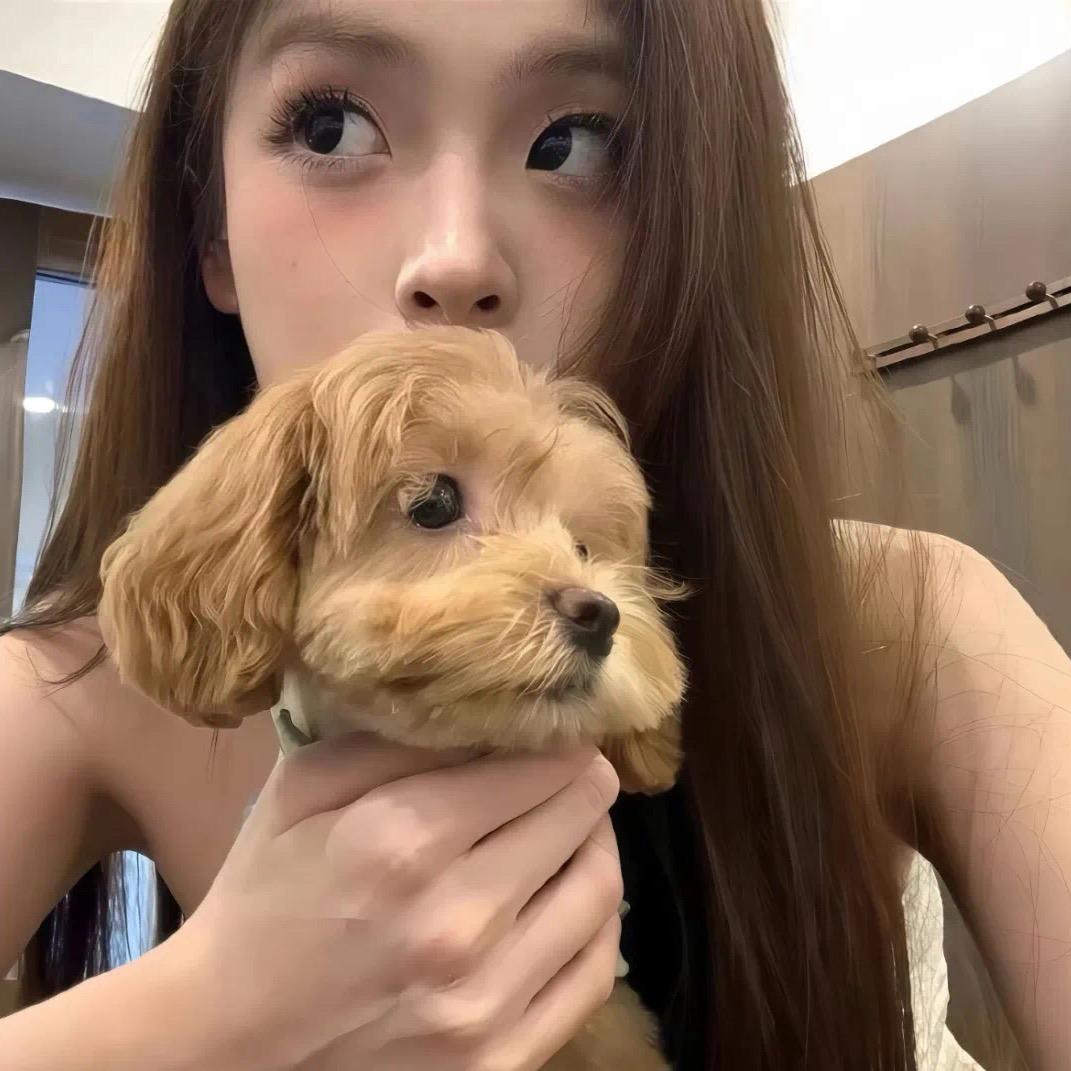 梨梨