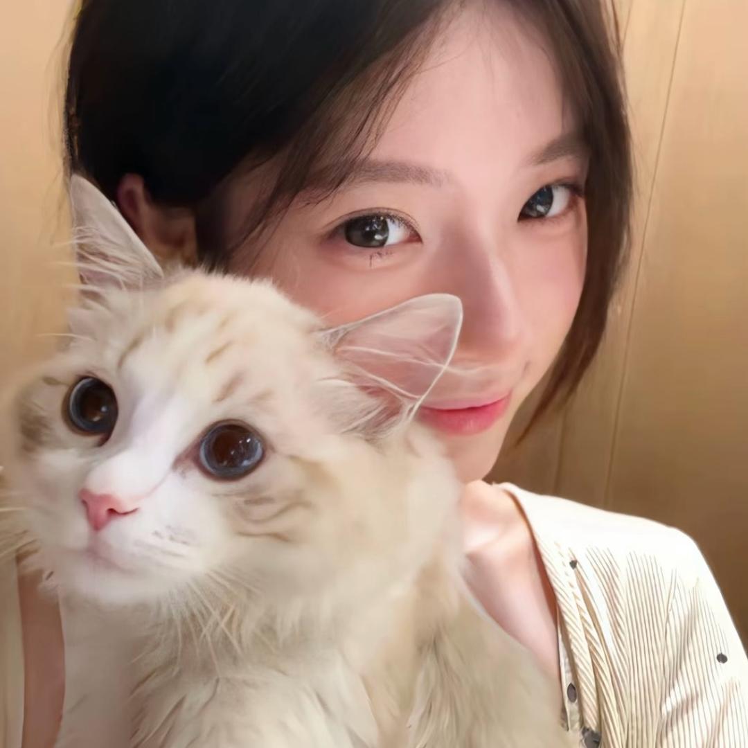 狗狗