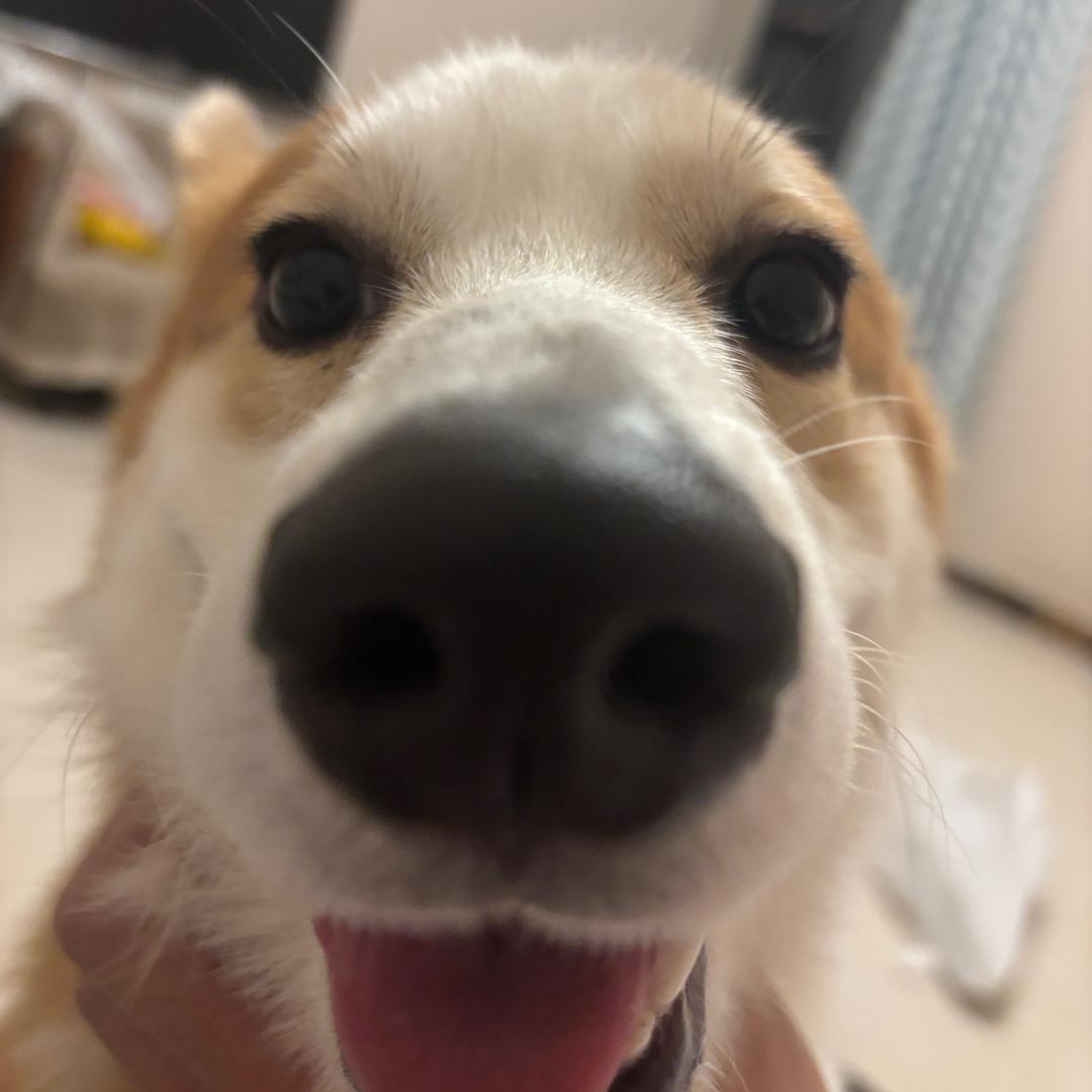 热搜