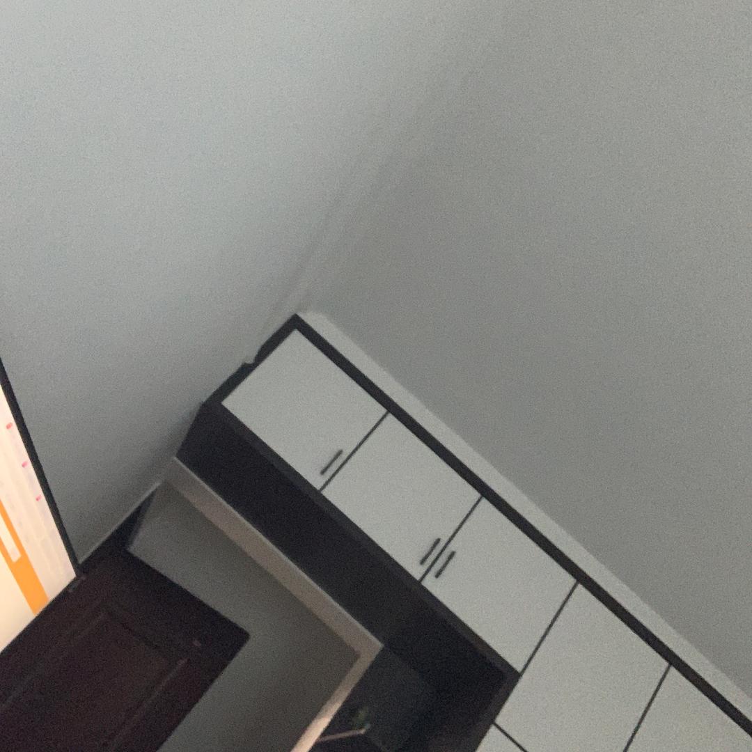 梦梦🍊