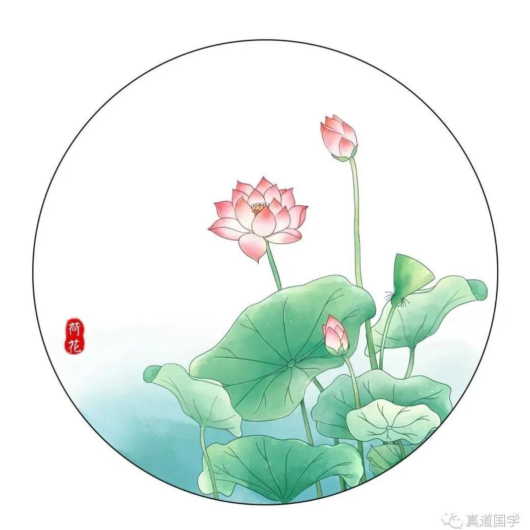 心明眼亮头像