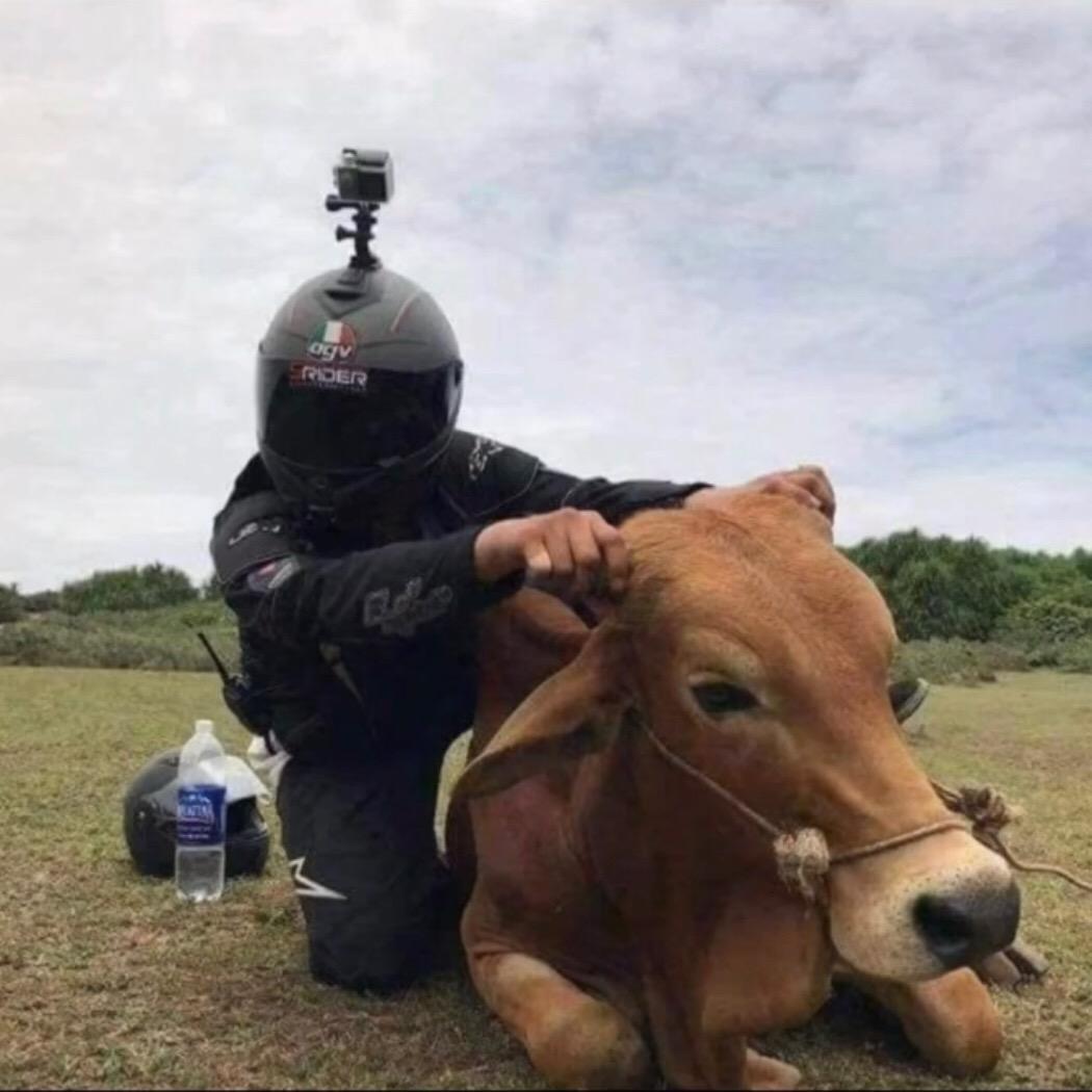 送你小心心