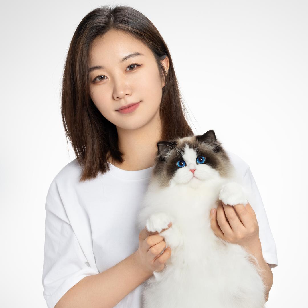 张宝彤布偶猫舍·团子