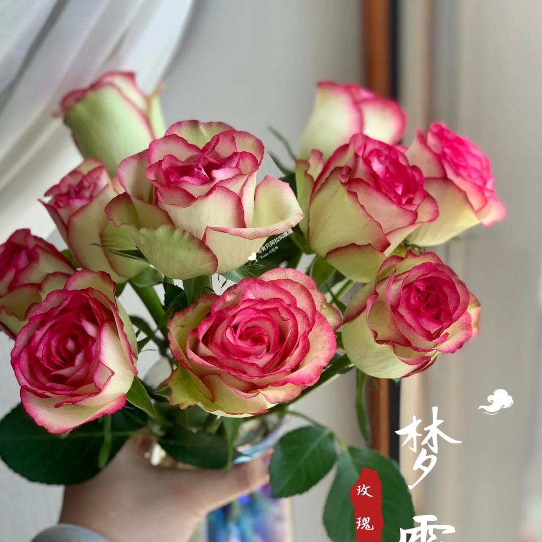 瑰园田居
