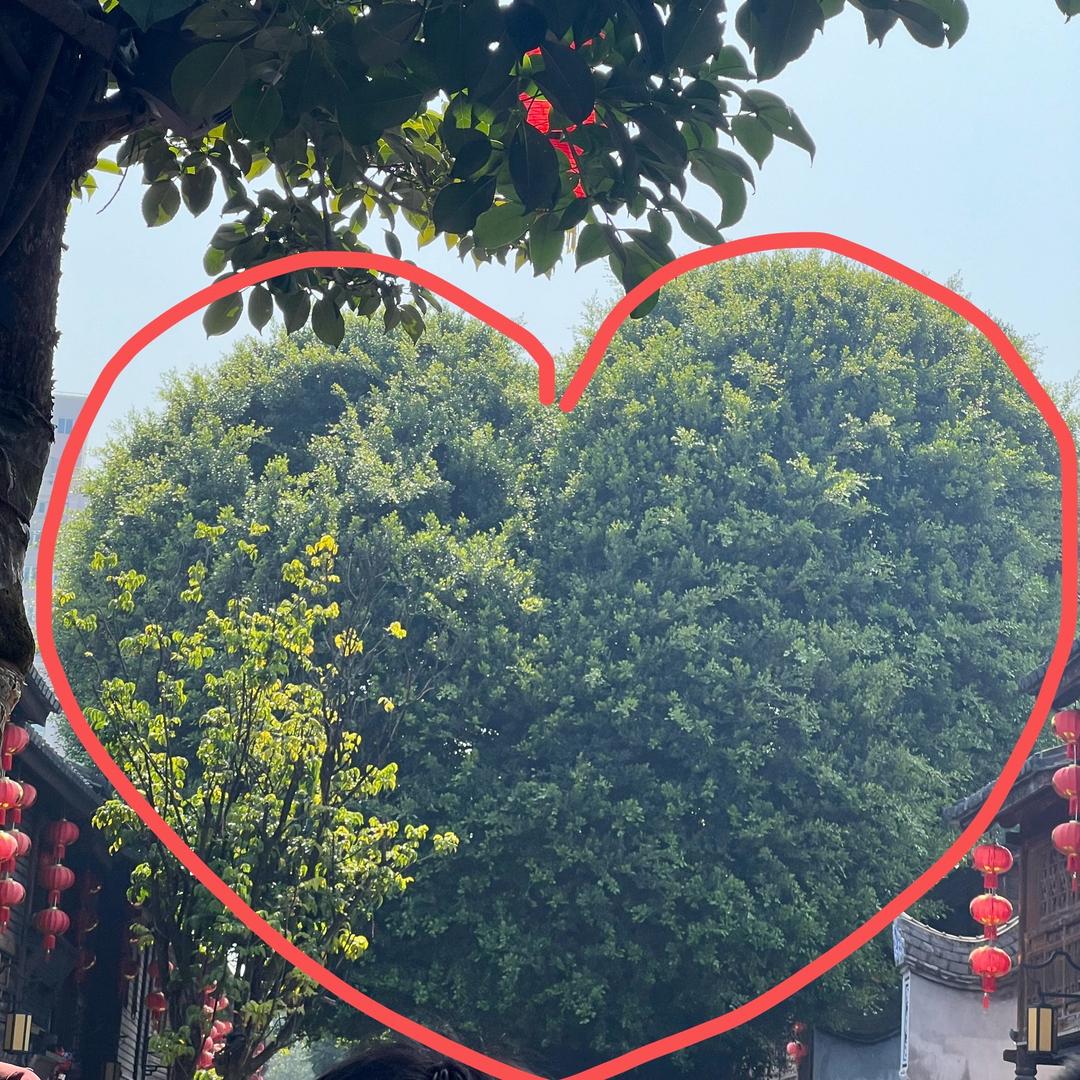 蛋白质？女孩👧