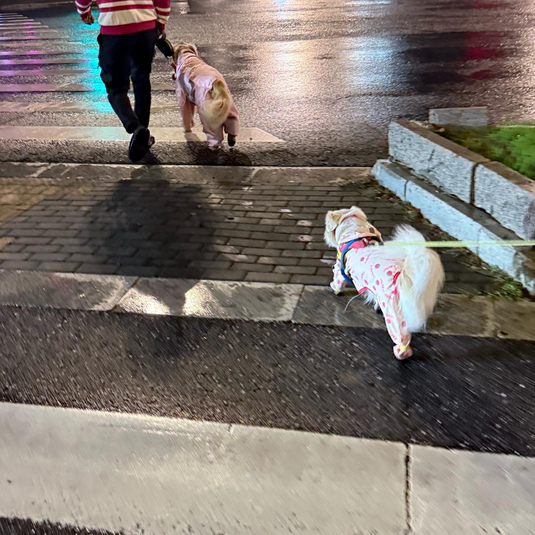 DNF86复古怀旧沐沐