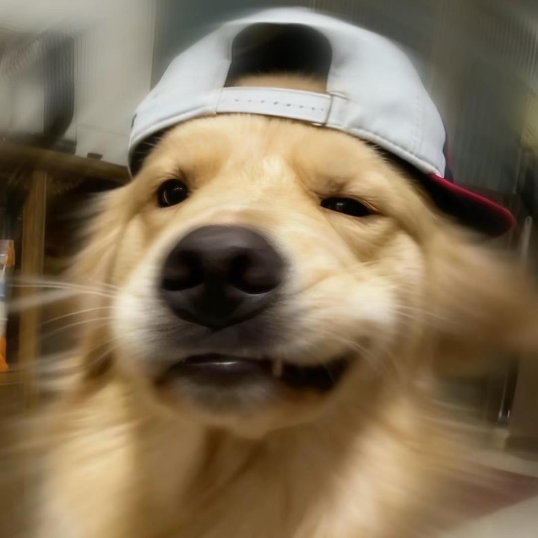 1211