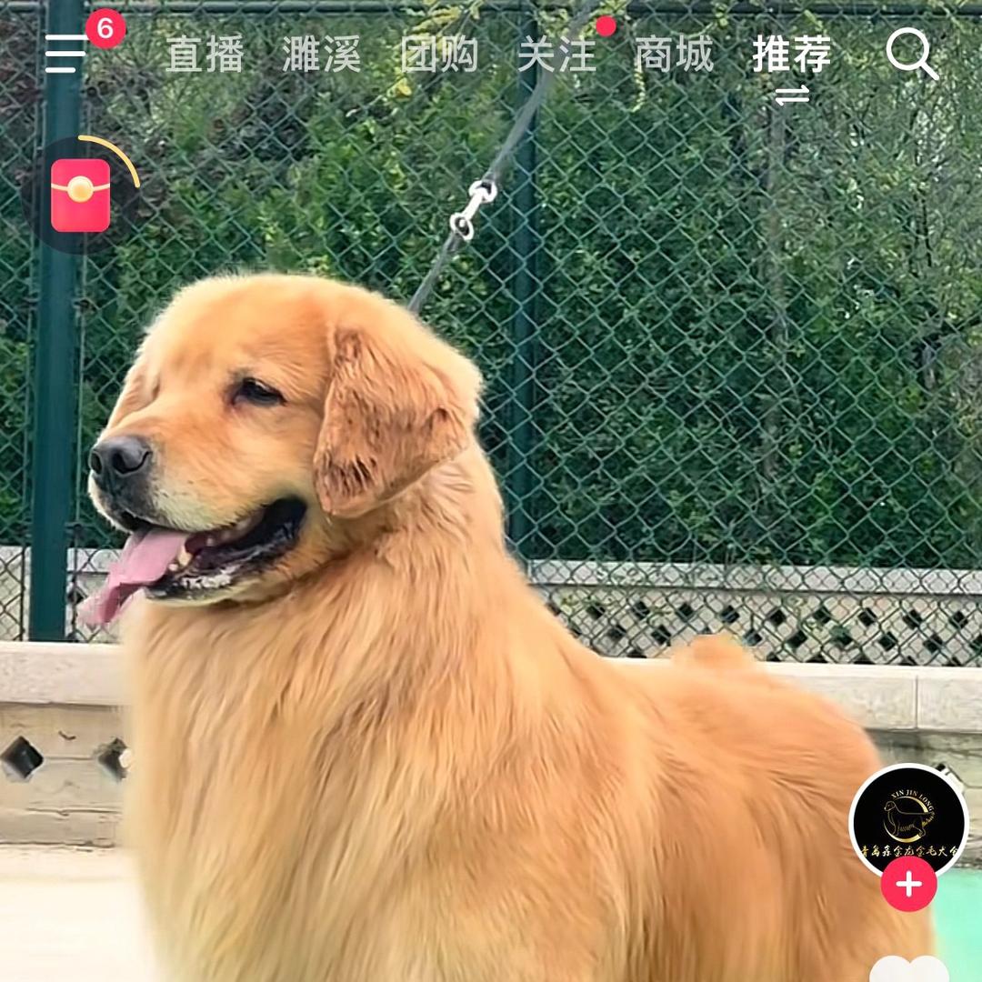 刘金岁月