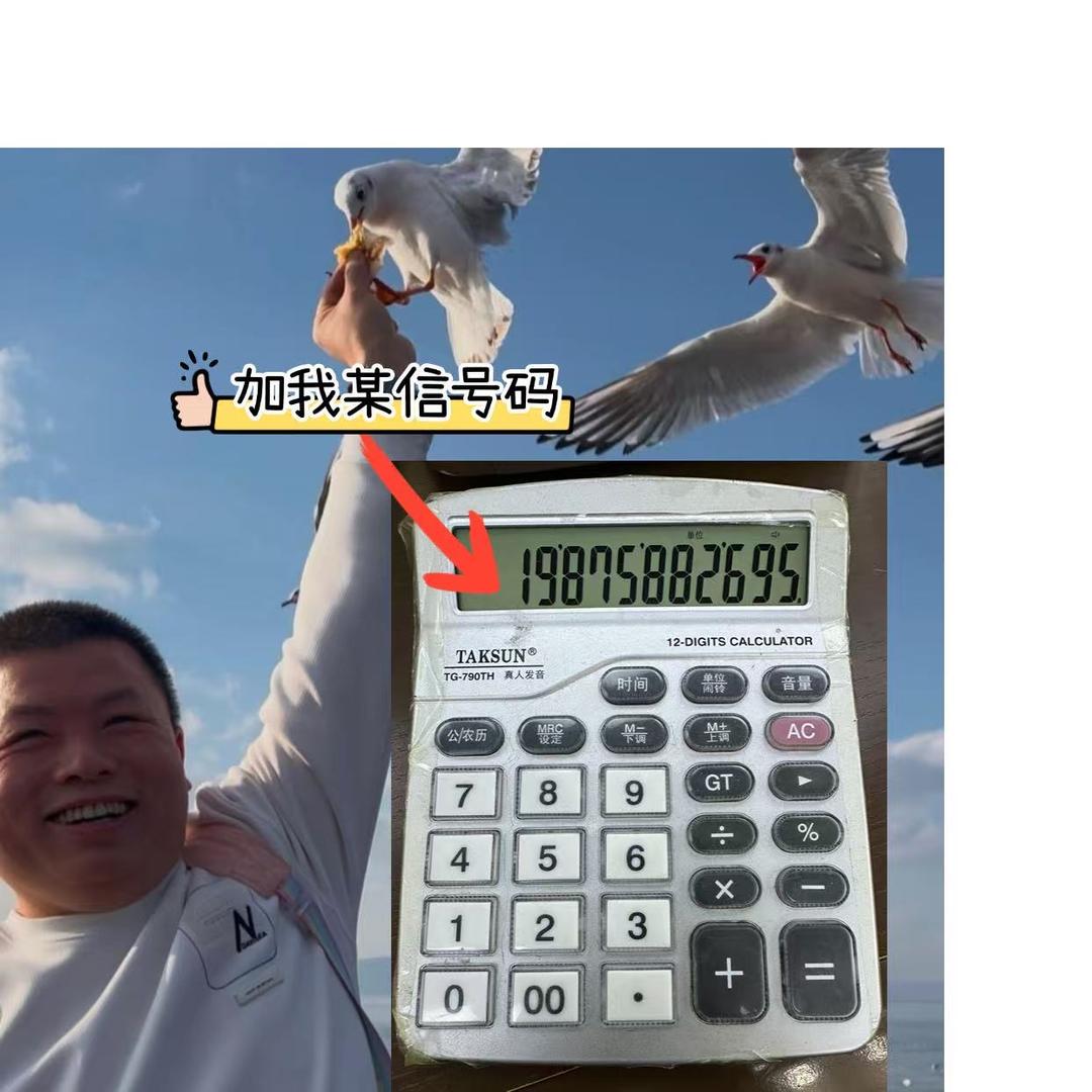 广州雄霸制衣厂（新塘分厂区