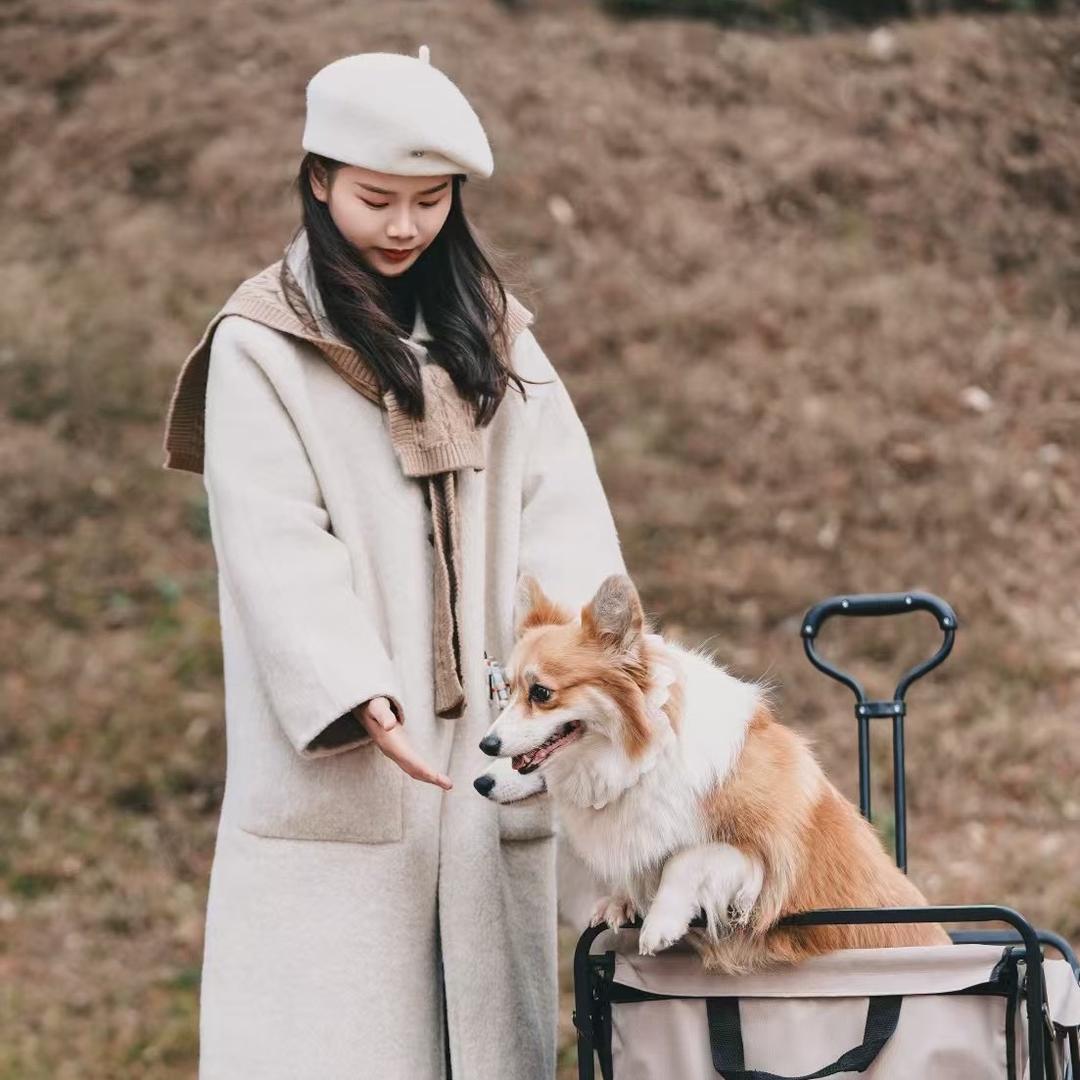悲伤又快乐的小🐶