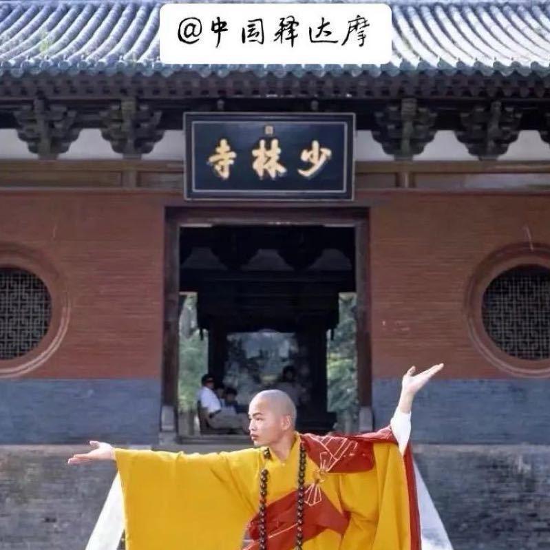 中国达摩