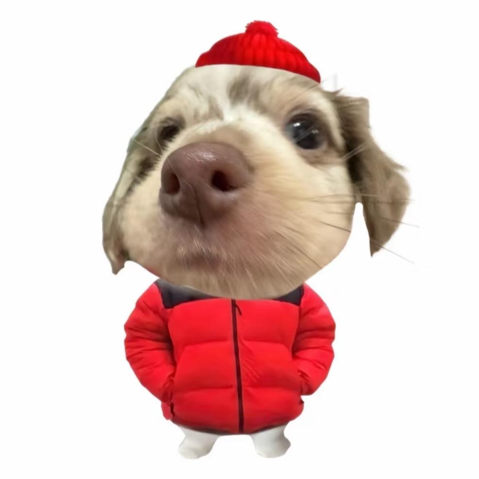 小小老子