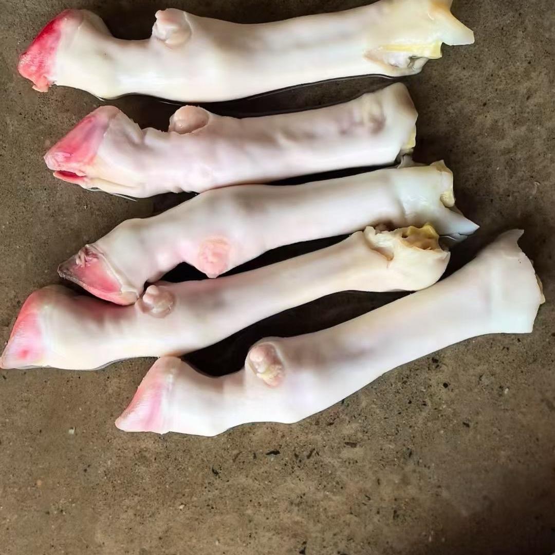 羊副大全