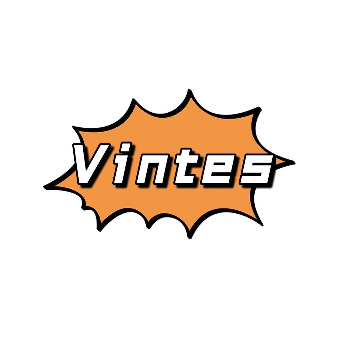 Vintes潮牌