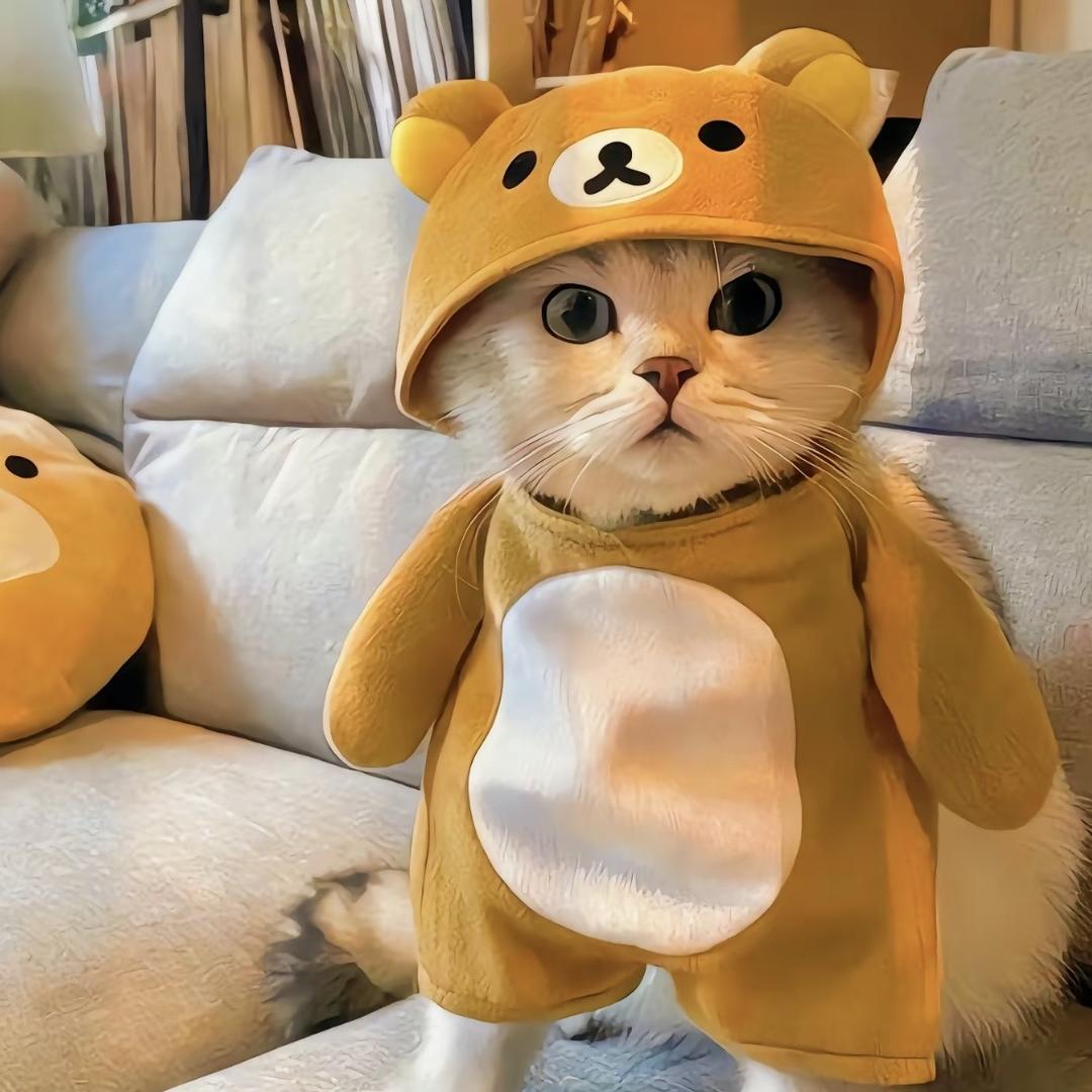 37.2℃（不熬夜版）