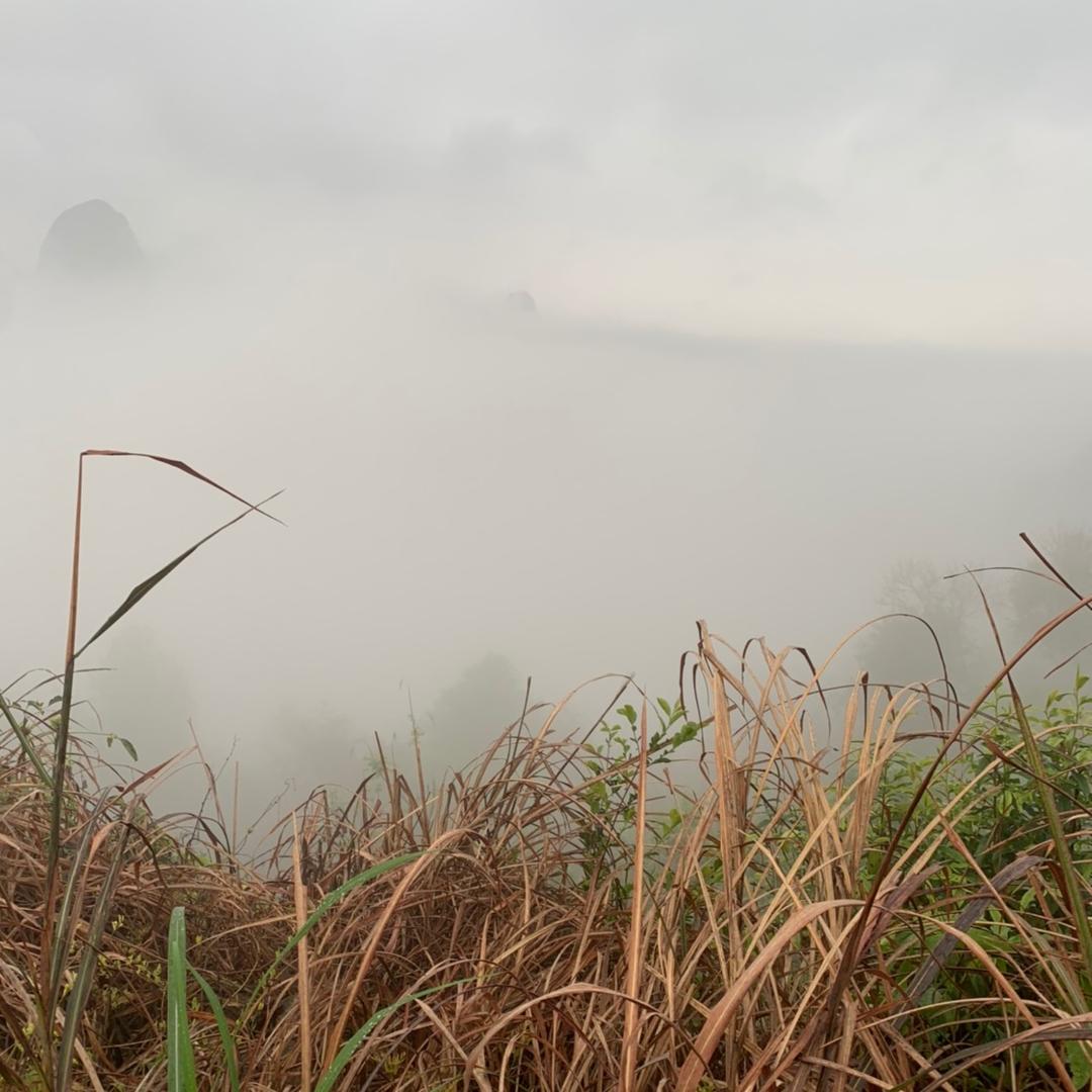 一望无际的大海