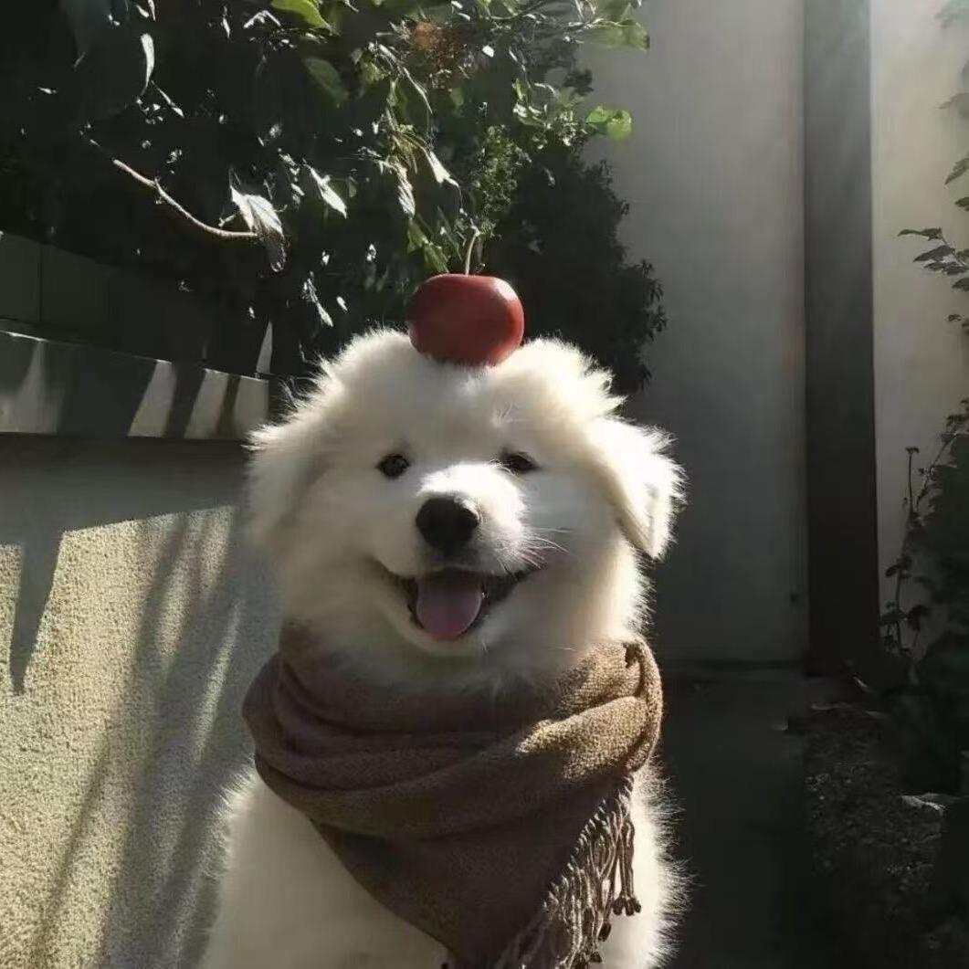 明明就^