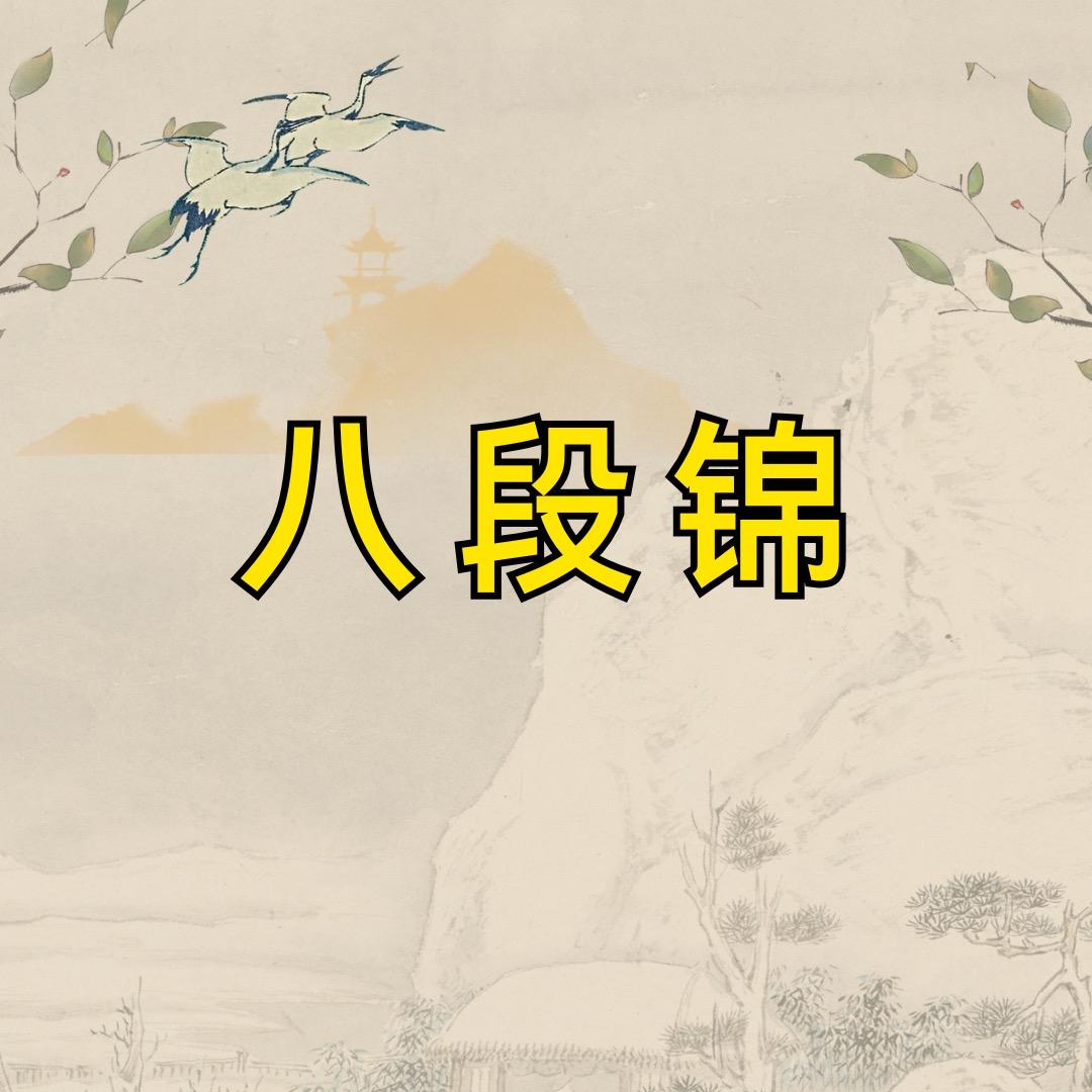 杨老师八段锦