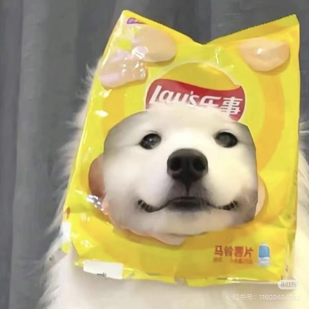 子衿