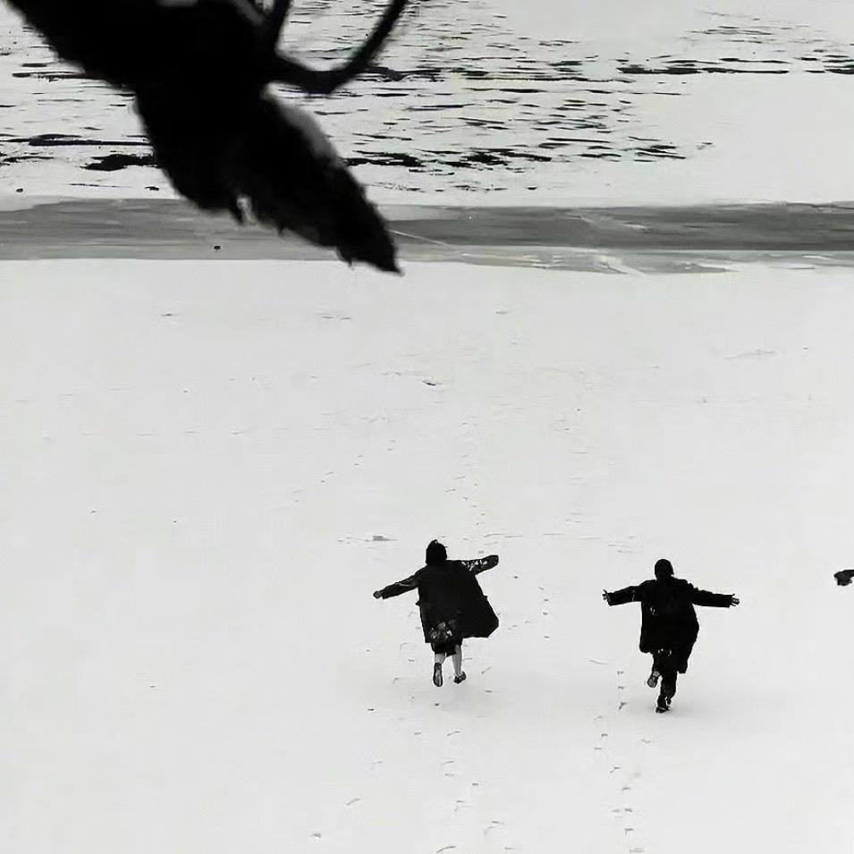 Gin ￴ ￴ㅤㅤㅤㅤㅤ