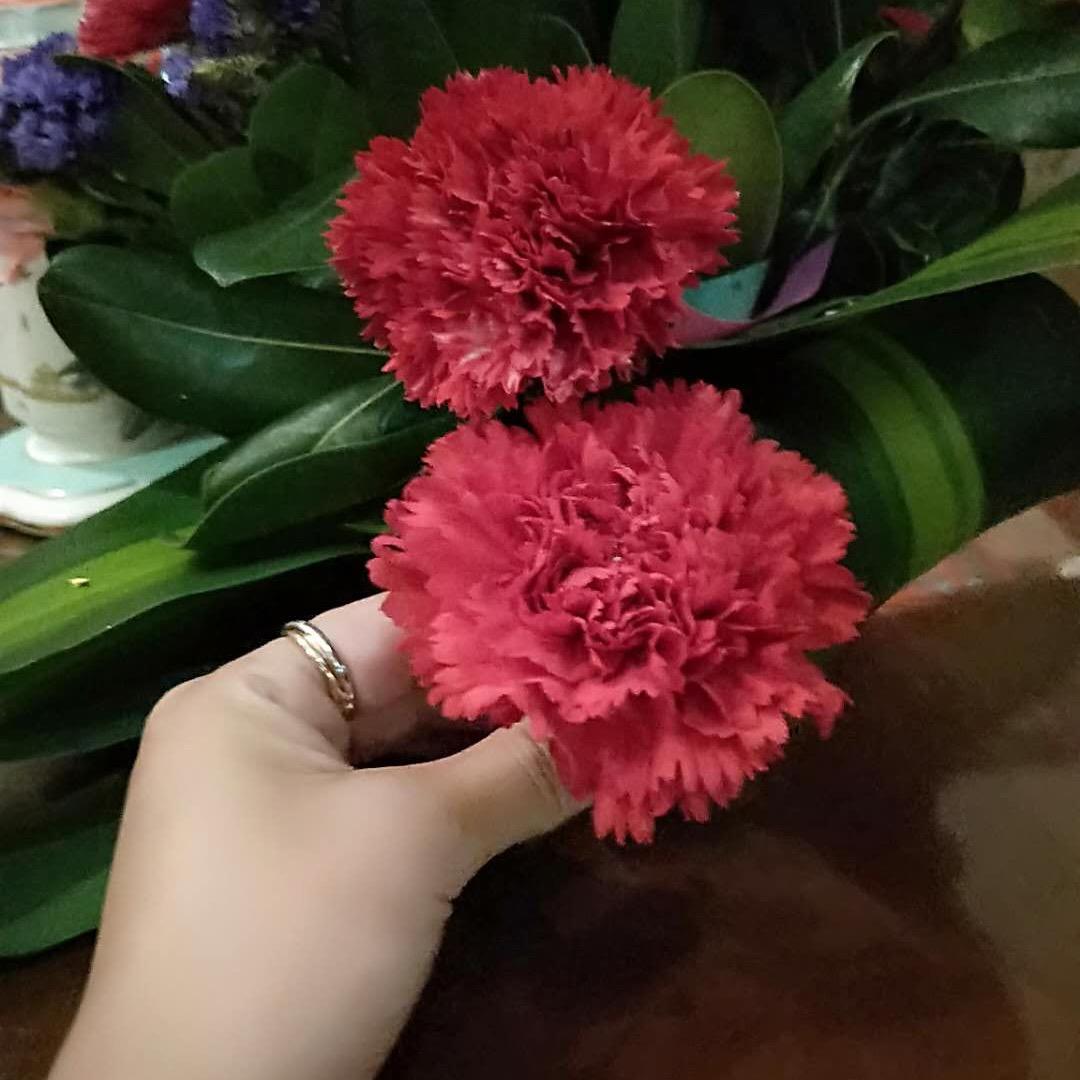 🥀小趴菜এ᭄💕ღ᭄